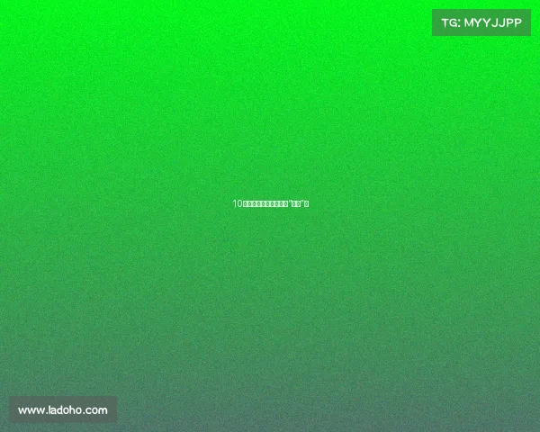 10万级家用车,谁才是真“卷王”?